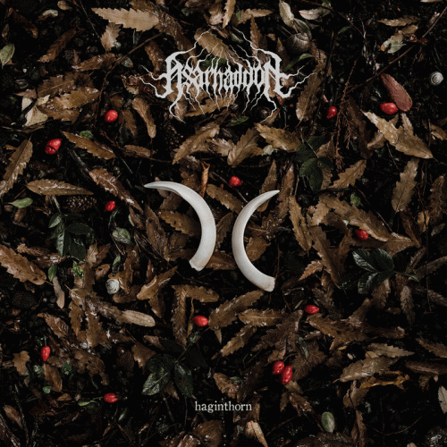 Asarhaddon : Haginthorn (EP)